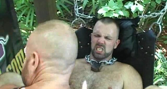 Fetish, Hardcore, Pigs, Double Penetration, Group, Extreme, Cream Pies, Daddies, Bears, Mature, Barebacking, Outdoors Bareback 8 Bruce's BareBack Yard Dick Wadd Meadia