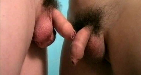 Amateur, Threesome, Cumshots, Rimming, Twink, Anal, Masturbation, Bareback, Group Wild Boys Man's Best