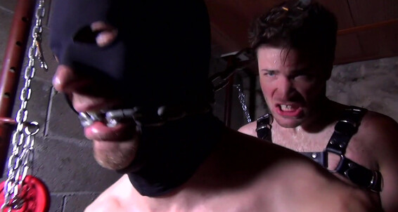 Gaysight Alpha French Guy Bound A Slave