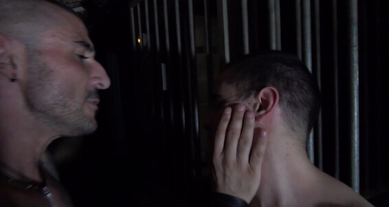 Gaysight David Valentin S Perversions