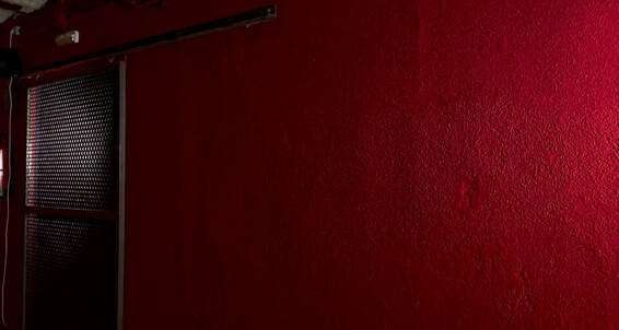 Gaysight Red Imperator Sex Experience
