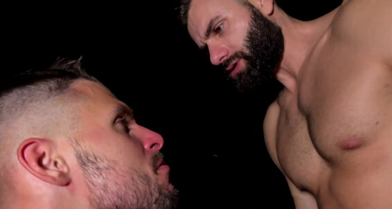 Gaysight Storm Ep The Silent Interrogation