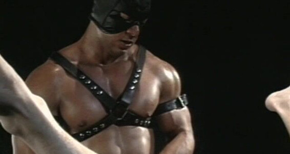 Dildo, Leather, Extreme Penetration, Fisting, Fetish, Rimming, Mask, BDSM, Tattoos, Muscles Acres Of Ass 1 Hot House Entertainment