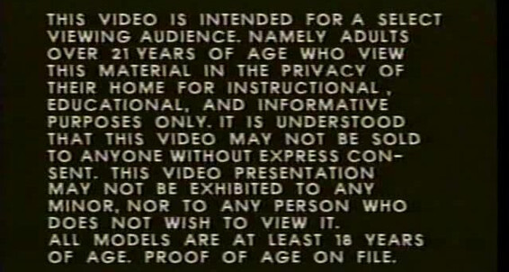 Oral, Precondom, Anal, Vintage Bad Boys Club Catalina Video