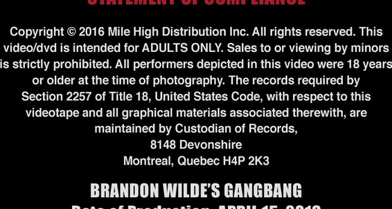 Cum, Group sex, Orgy, Rimming, Oral, Hunks, Anal, Big Dicks Brandon Wilde's First Gang Bang Icon Male