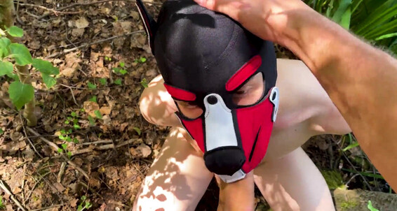 Big Dick, Blowjob, Masks, Bondage, Fetish, Domination, Deep Throat, Smooth, Cumshot, Twink, Facial, Muscles, BDSM, Uncut Chastity Fag Outdoor Humiliation gay SiteRip