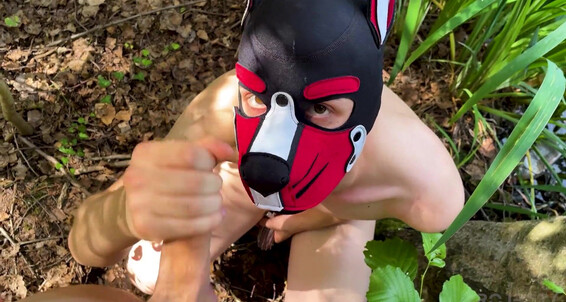 Big Dick, Blowjob, Masks, Bondage, Fetish, Domination, Deep Throat, Smooth, Cumshot, Twink, Facial, Muscles, BDSM, Uncut Chastity Fag Outdoor Humiliation gay SiteRip