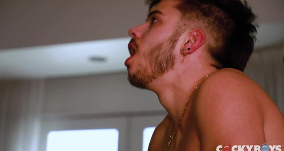 Bareback, Cumshots, Muscles, Blowjob, Big Dick, Kissing, Anal Sex, Tattoos, Masturbation, Piercing, Hairy Dom King & Evan Knoxx gay SiteRip