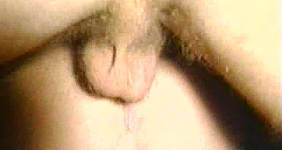 Bareback, Anal Sex, Oral Dream Doll By Attraction