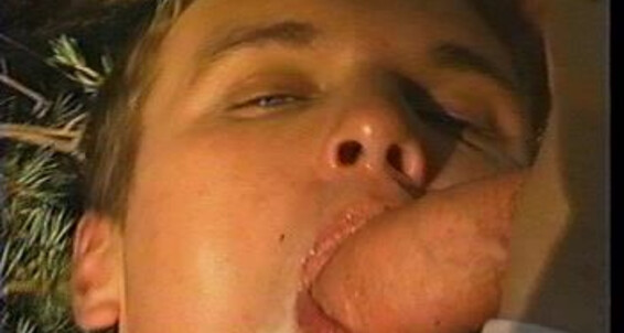 Bareback, Anal, Twinks, Cumshots, Outdoor, Facial Finland Fever S.E.V.P.