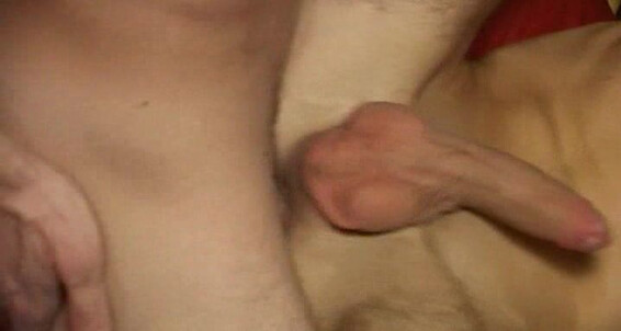 Cum Swallowing, Twinks, Bareback, Anal Sex, Blow Jobs, Ass Licking Get Ready for Cool School Lucky Youngsters / Vimpex Gay Media