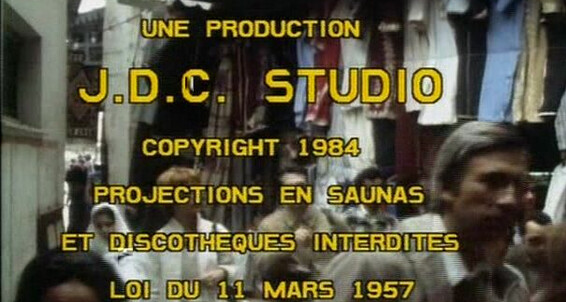 Anal, Interracial, Bareback, Oral, Group Harem Sex Bazaar French Art / Videovision