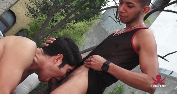 Cumshot, Young Men, Smooth, Facial, Blowjob, Muscle, Latinos, Big Dick, Uncut, Deep Throat Hung Lalo & Alejandro Samani Gay SiteRip