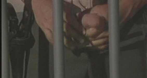 Train, Uniform, Anal, Oral, Group Jawbreaker Catalina