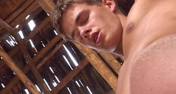 Twinks, Big Balls, Sucking, Big Cocks, Group, Anal Just For Fun Bel Ami