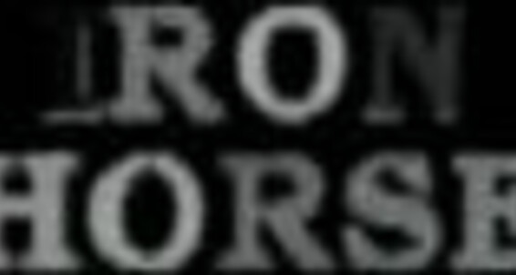 Uniform, Hairy men, Bears, General hardcore, Cum shot, Anal, Oral Wild Cops Iron Horse