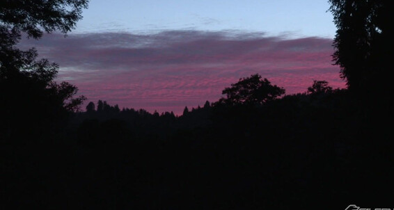 Fs Naughty Pines Sean Zevran Luke Adams