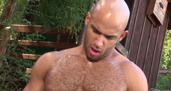 Fs Naughty Pines Topher Dimaggio Sean Zevran