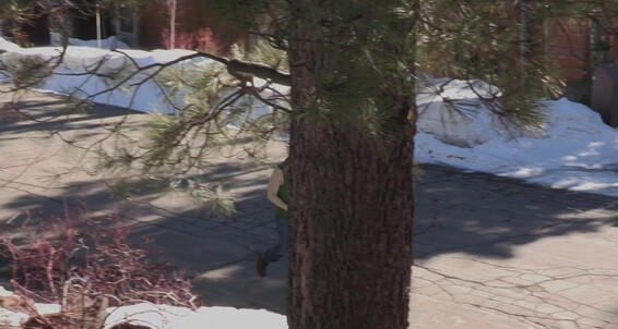 Fs Tahoe Snowbound Jacob Peterson Jordan Boss