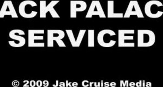 Jack Palace Serviced L