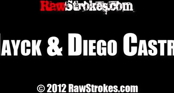 Hayck Diego Castro P
