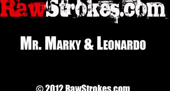 Mr Marky Leonardo P