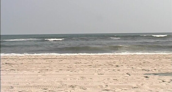Le Fire Island Cruising Scene Orgy Scene