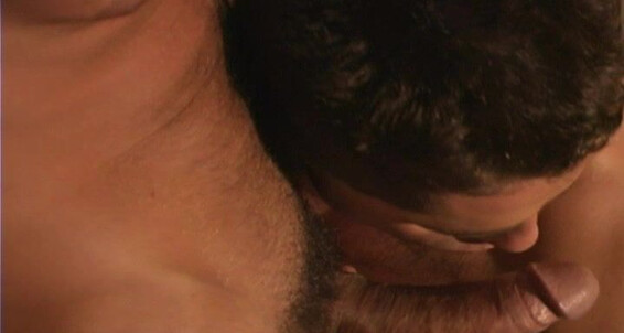 Le Fire Island Cruising Scene Michael Lucas And Marco Rochelle