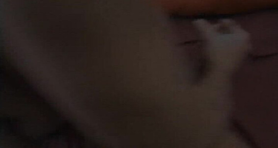 Le Shooting Stars Scene Cum Shot Review