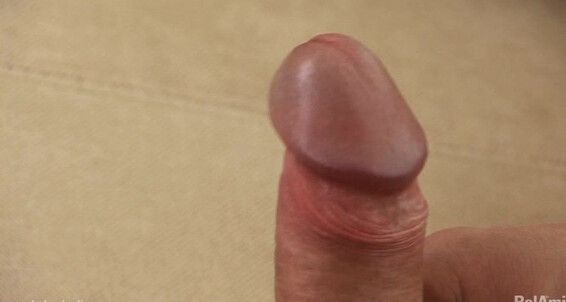 Belamionline Sydney Single