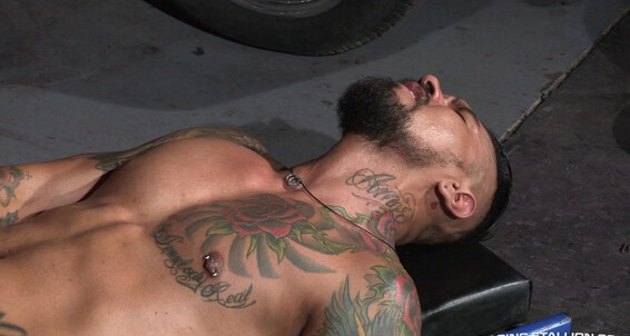 Ragingstallion Rs Auto Erotic Part Boomer Banks Aaron Steel