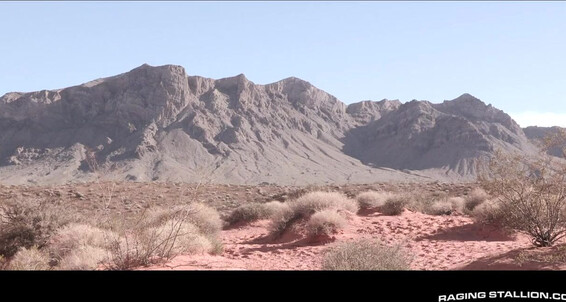 Ragingstallion Rs Auto Erotic Part Boomer Banks Sean Zevran