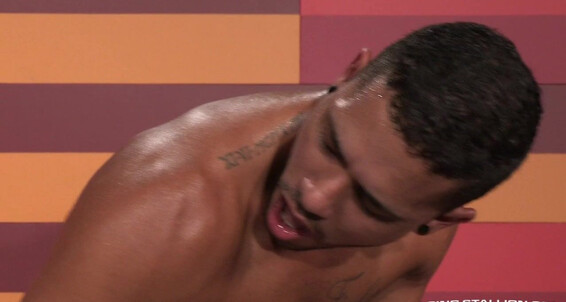 Ragingstallion Rs Hot As Fuck Fx Rios Max Gianni
