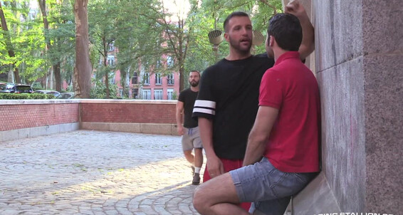 Ragingstallion Rs The Tourist Donato Reyes Dario Beck Alessio Veneziano