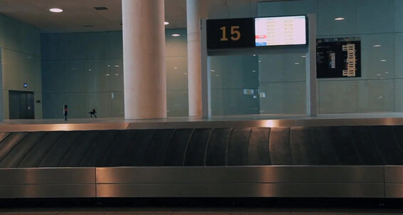 Ragingstallion Rs Tsa Checkpoint Teddy Torres Lorenzo Flexx