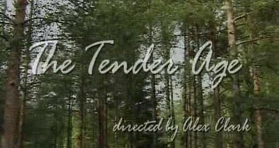 "Ilya B., Dennis B., Andrey P., Alexander V., Dima P., Nikolay Z., Artem K., Artem Z., Victor T., Yuriy V." teens The Tender Age AC Entertainment / Dolphin Entertainment