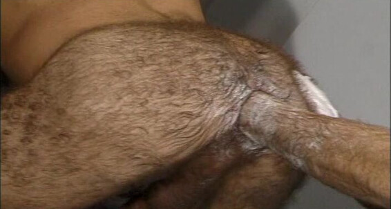 "Nate Summers, Lance Gear, Mark Evrett, Jeff Allen, Simon Cox" Sex Toys, Fisting, Hairy, Leather Fetish, Buttplay Ass on the Line Hot Hand Productions