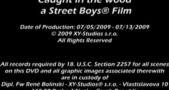 "Pavel Matous, Thomas Dyk, David Loft, Bratt Kiney, Rendy Scott, Lucky Taylor, Giacomo, Joey Intenso, Kenny Jacobs, Marco Bon Phoenix" Bareback, Outdoor, Fingerplay, Big Dicks, Twinks, Facial Cumshots, Spermeating, Oral Caught in the Wood Man's Art - Stre