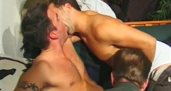 "Morgan Allen, Drew Andrews, Andre Bolla, Scott Burton, Jeff Dalton, Damian Ford, Rod Matheson, Jason Nikas, Randy White" Muscle, Teabag, Interracial, Hunks, Hairy, Skinny, All Sex, Anal, Rimming, Handjob, Orgy, Threesome, Assjob, Hardcore, Blowjob, Mastu