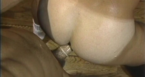 "Charlie Boy, Chaz Carlton, Chip Daniels, Joe Romero, Joshua Sterling, Myles West, Shane Sutton, Todd Mitchell" Anal, Oral, Outdoor, Masturbation, Cumshots, Big Cocks, Rimming, Muscle Call Boy Catalina Video, Channel 1 Releasing