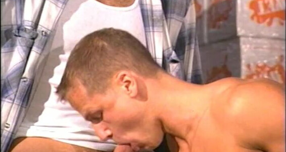 "Dino Dimarco, Drew Peters, Lance Thomas, Max Grand, Paul Morgan, Sky Thompson, Thom Barron, Tony Scalia, Wade Peters" Big Cocks, Muscle, Group, Threesome, Oral, Hairy, Rimming, Interracial, Anal, Cumshots, Masturbation Wet Warehouse 3 The Party Forum Stu