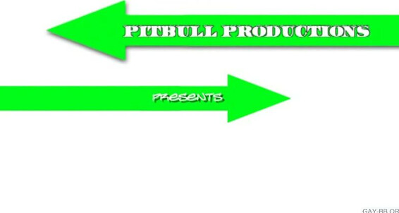 "Johnny Boy, Cornbread, P.B., Intrigue, Khyree Amere, Dr. O, Maxamillion, Stackz, Phoenix (m)" All Sex, Oral, Anal, Threesomes, BLACK, Thug Payback's A Bitch 3 Pitbull Productions