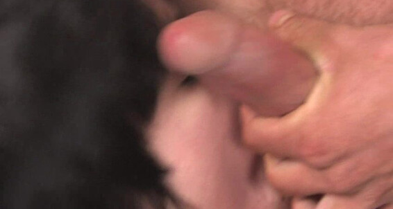 "Noah Carlisle, Kyler Moss, Timo Garrett, Liam Summers" Anal, Bareback, Cum Shots, Twinks Fucking Harry Palmer BoyCrush / Saggerz Skaterz