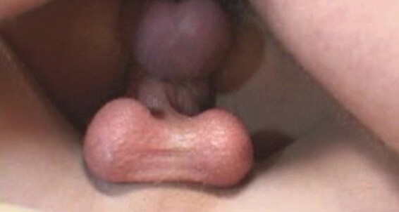 "Erec Estrada, Chase Roberts, Lazlo Cross, Hans Ebson, Maxx DieselOrion Cross, Justin Pounders, Erik Jensen, Axel Marceau, Jagger, Sean Tarantini, Marc Winters" Rimming, Anal, Oral, Double Penetration Fiercesome Threesomes Toy Boxxx Films