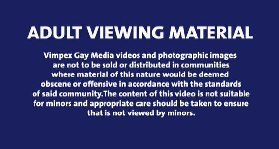 "Mark Zebro, Nick Lamar, Milan Breeze, Dion Phillips, Steven Ward" Threesome, Masturbation, Cumshots, Rimming, Twinks, Bareback, Oral Bare Lessons 2 Vimpex Gay Media