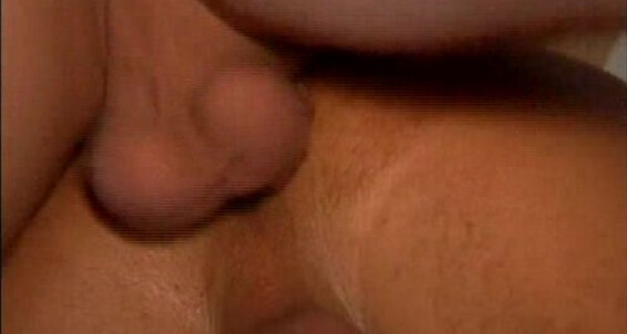 "Gedeon, Vito, Mett, Shy, Moriss, Bad Boy, Vidal, Edgar, Bred" Euro, International, Bareback, Jocks, Anal, Cumshot Cocktale S.E.V.P. Pictures