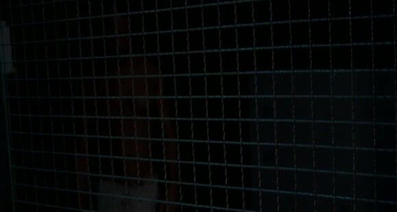 "Christian Herzog, Felix Barca, Malik, Troy Daniels, Race Cooper." Uncut Cocks, Oral Cruising Cazzo