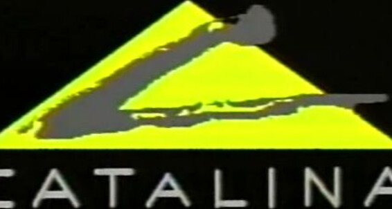 "Tony Idol, Donnie Ruddo, Tanner Reeves, Daryl Brock, Scott Russle Alec Powers, John Kendrick" Plot Based, Oral, Anal, Classic, Muscle Men Idol Inn Exile Catalina Video