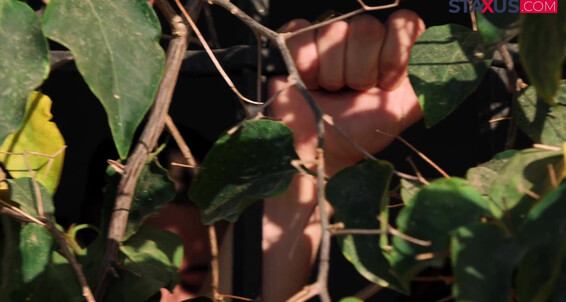 "Ares Reiv, Galiel Swan, Keiron Zaks, Nico Vegas" Twinks, Rimming, Anal, Cumshots, Masturbation, Bareback, Big Dick, Oral, Tattoos, Outdoor Breeding Garden Staxus, Bare