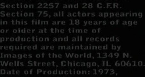 "Kevin Redding, Nick Rodgers, Greg Dale, Derrick Stanton, Jim Battaglia, Mark Bitler, Jerry Foxe, Peter Borchard" Solo, Vintage, Plot Based, Anal, Oral The Idol Hand-in-Hand Films